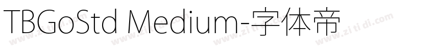 TBGoStd Medium字体转换